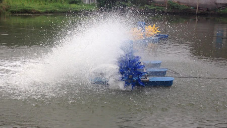 อะไรเป็นตัวกำหนดเค้าโครงของเครื่องเติมอากาศบ่อปลา