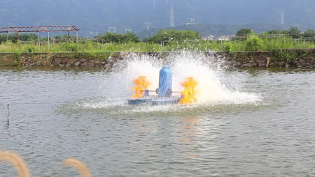 การเลือกและติดตั้งเครื่องเติมอากาศบ่อปลา